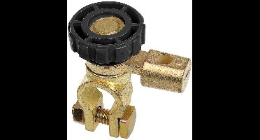 ProPlus Accupoolklem met stroomonderbreker - Ø 17,5 mm - anti-diefstal - 6V-24V