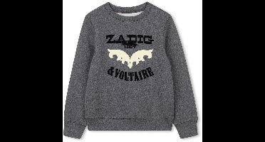 Zadig & Voltaire X60484 Truien & Vesten Kids - Sweater - Hoodie - Vest- Donkergrijs - Maat 128