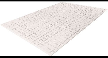 Pierre Cardin Vloerkleed - Tapijt - Modern - Zilver Wit - Designerkwaliteit - Elegant en Onderhoudsvriendelijk