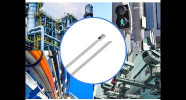 TRU COMPONENTS TC-12647572 Stalen kabelbinder 680 mm 4.6 mm AISI 304 100 stuk(s)