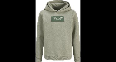 Jack & Jones Junior Hoodie Hoodie Junior