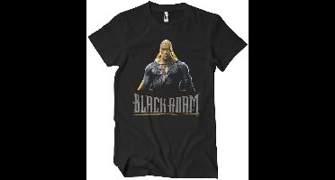 DC Comics Hero Big Tall T-Shirt WB-1-BLAD009-DTF716 Black-5XL