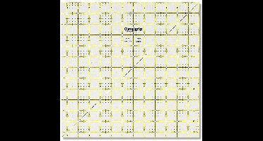 Prym Antislipliniaal Omnigrip 12,5 x 12,5 inch