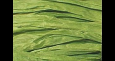 Raffia Folia 50gr. groen -