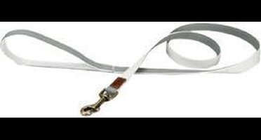 Designed by Lotte Virante - Hondenriem - Mint - 120 cm x 20 mm