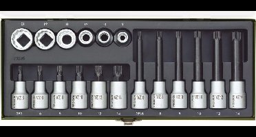 Proxxon Industrial 23 296 Dopsleutel-bitinzetset 1/2 (12.5 mm) 18-delig