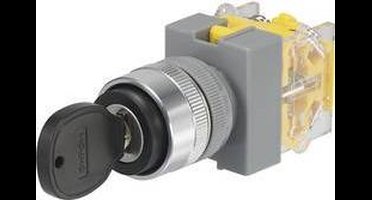 TRU COMPONENTS 704536 Y090-A-20Y/33 Sleutelschakelaar 250 V/AC 5 A 2x uit/(aan) 2 x 45 ° IP40 1 stuk(s)