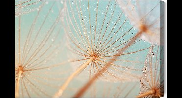 Schilderijkoning - Canvas Schilderij Opblaasbaar, Waterdruppels - 90 x 60 cm