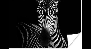 Poster Zebra - Zwart - Wit - Dieren - 30x20 cm