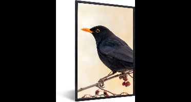PosterMonkey - Poster - Fotolijst - Merel - Vogel - Takken - Bes - 40x60 cm - Poster natuur - Foto lijst - Poster frame - Poster vogels