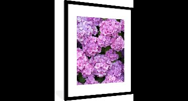 PosterMonkey - Poster - Fotolijst - Hortensia - Bloemen - Roze - Planten - Natuur - 60x80 cm - Poster bloemen - Foto met lijst - Decoratie woonkamer - Poster in lijst