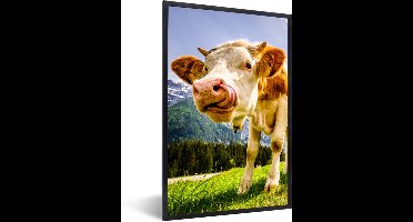 PosterMonkey - Poster - Fotolijst - Koeien - Gebergte - Alpen - Natuur - Dieren - 60x90 cm - Posters - Foto met lijst - Poster met kader - Poster koe - Posterlijst