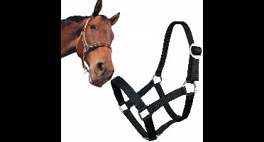 Kantar York Shetty Zwart - Ideaal voor Pony's en Veulens