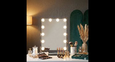 FlinQ Hollywood Spiegel - Make up Spiegel met Verlichting - 12 LED lampen met Dimbaar Licht - Visagie Spiegel - Holywood Mirror - RVS