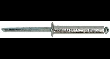 Popnagels - Aluminium/Staal - 3,0 x 12mm (500 stuks)