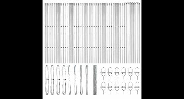 vidaXL - Hekpaal. - Zilver