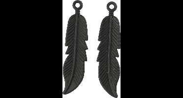 Creotime Veertjes 10 X 45 Mm 2 Stuks Zwart