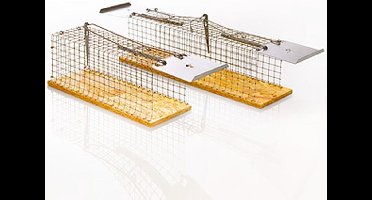 Rattenval 1 veerklep