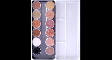 Schmink palet aqua skin tone met 12 kleuren - Superstar - Beigeen