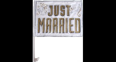 Amscan Autovlag "just Married" Wit/goud