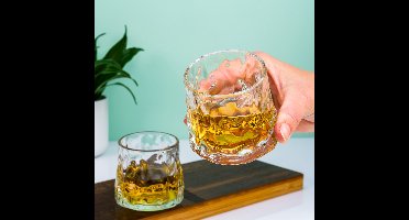 Whiskey glazen 'on the rocks' - 180ml - 2 stuks - Mooie whiskey glazen