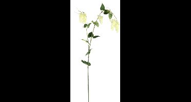 PTMD Kunsttak Hops Spray - 50x92x146 cm - Plastic - Creme