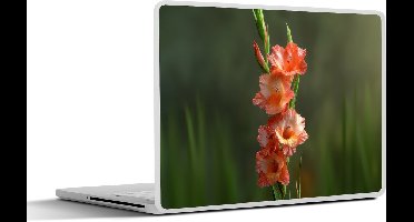 Laptop sticker - 10.1 inch - Bloem - Gladiolen - Zalmroze - 25x18cm - Laptopstickers - Laptop skin - Cover