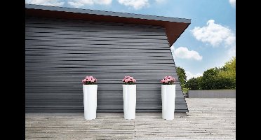 GARANTIA COLOR plantenbak, coco Hoogte: 150 cm