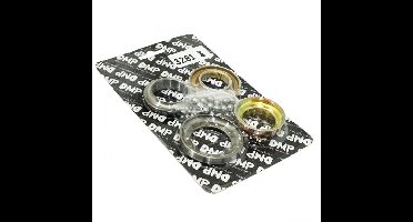 Kit roulement de direction DMP pour Scooter Chinois 50 Scoot Neuf
