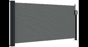 vidaXL - Uitschuifbaar - zijluifel - antraciet - 100x300 - cm
