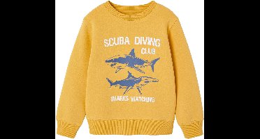 Vertbaudet Fantasie sweater voor jongens