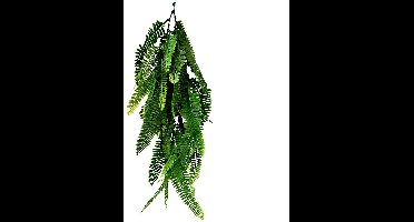 Buitengewoon de boet - Hanger varen spleenwort 75 cm kunsttak