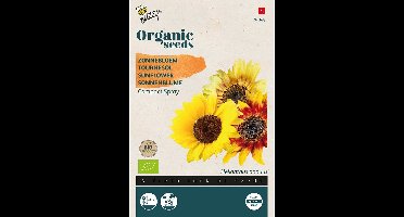 Buzzy Zonnebloem Compact Spray Organic Seeds (Bio) - Ideaal voor Kleine Tuinen en Potten
