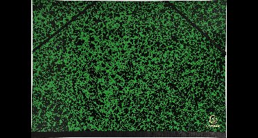 Exacompta 10x Tekenmap Annonay met elastieken 32x45cm - A3 - Groen - 542000E