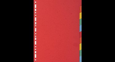 Exacompta 25x Tabbladen gerecycleerd karton 220g - 10 tabs - A4 - Geassorteerd - 2010E