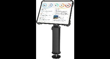 360° draaibare diefstal-kassabonstandaard voor tablets 9,7 - 13 inch, zwart