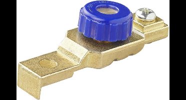 ProPlus Accupoolklem met stroomonderbreker - Ø 17,5 mm - Minpool - Anti-diefstal - 6V/12V/24V