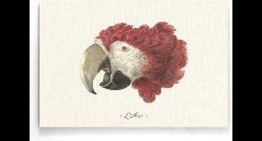 Walljar - L'Ara - Dieren poster