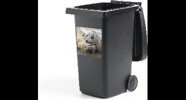 Container sticker Liefdevolle zeehonden van dichtbij - 40x40 cm - Kliko sticker