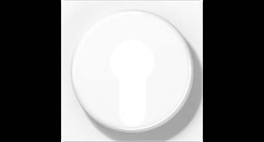 Jung AS500 Schakelelement/Centrale Plaat - A528PLWW - E32PW