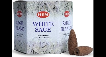 HEM Backflow kegels White Sage