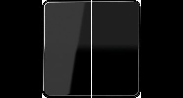 Jung CD500 Schakelelement/Centrale Plaat - CD595SW - E2V3V