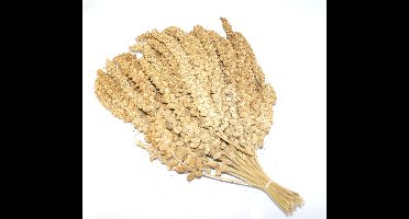 Duvoplus - Vogelsnack - Vogel - Trosgierst Chinees 10 Inch 15kg - 1st