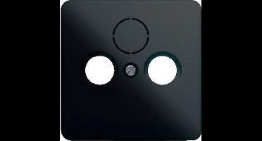 Jung CD500 Insteekplaat Schakelmateriaal - CD561SATSW - E2V3M