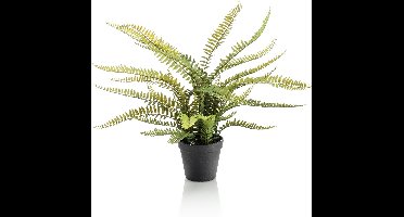 Emerald - Kunstplant in pot Varen Boston 55cm - Kunstplant voor binnen