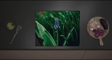 Inductie Beschermer - Eenzame Blauwe Hyacint Bloem in Groen Veld - 60x52 cm - 2 mm Dik - Inductieplaat Beschermer met zwarte kern