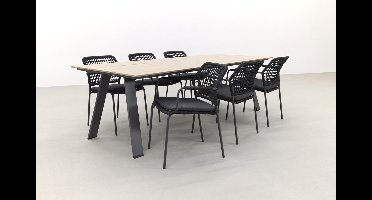 Taste Barista antraciet/Garden Impressions Nevada 240x100 cm.