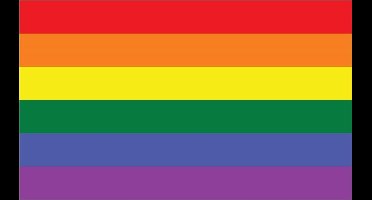 Vlaggetje Regenboog 20x30cm