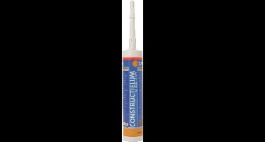 Ivana ConstruCTielijm Tix Koker - 310ml