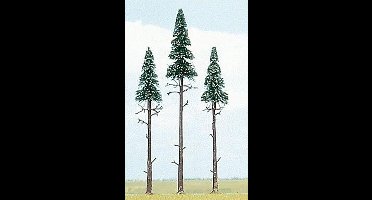 Busch - 3 Fichten, 140-170mm H0 (Bu6118) - modelbouwsets, hobbybouwspeelgoed voor kinderen, modelverf en accessoires